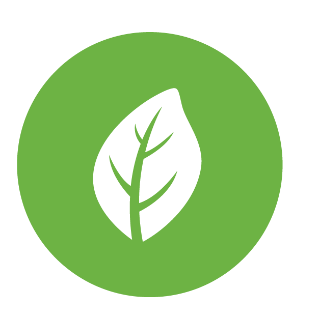 Sustainability icon, enabled. A green leaf.