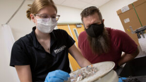 FURI researcher Susanna Westersund works with her mentor, Assistant Professor Christian Hoover